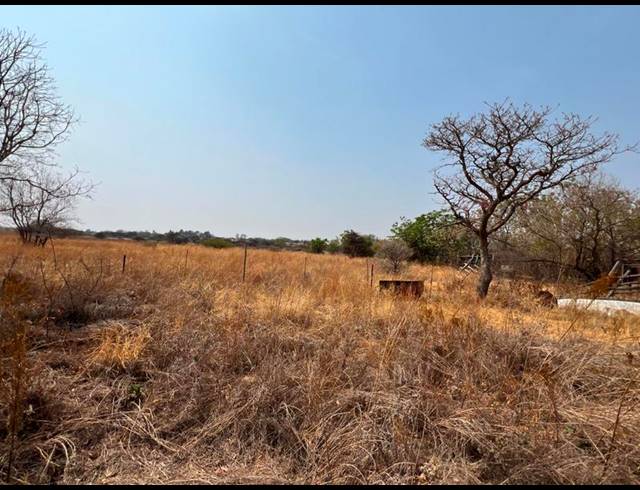 FARM FOR SALE IN BULTFONTEIN A H
